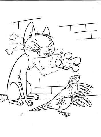 Angry Cat With Dove  Coloring Page